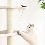 Boredom Eliminating Cat Toy (50% OFF)