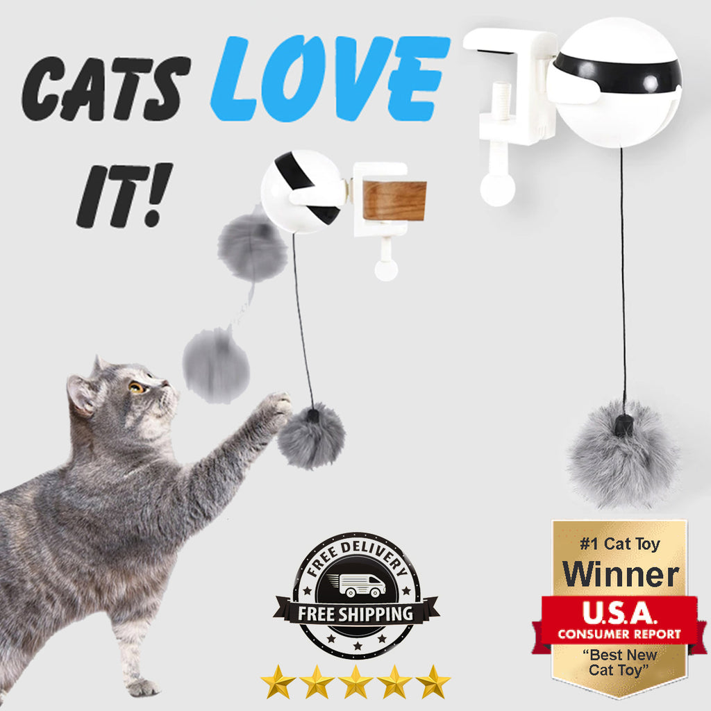 Boredom Eliminating Cat Toy (50% OFF)